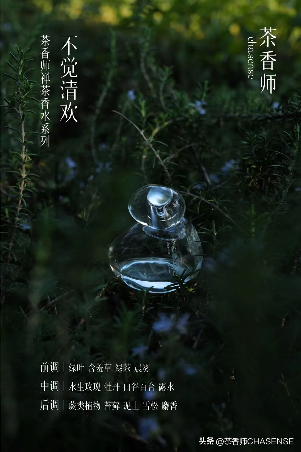 茶香师说丨每个新的气味都是一场赌局