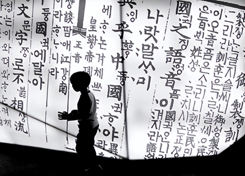 为什么韩国法律有中文,韩国宪法是汉字吗知乎