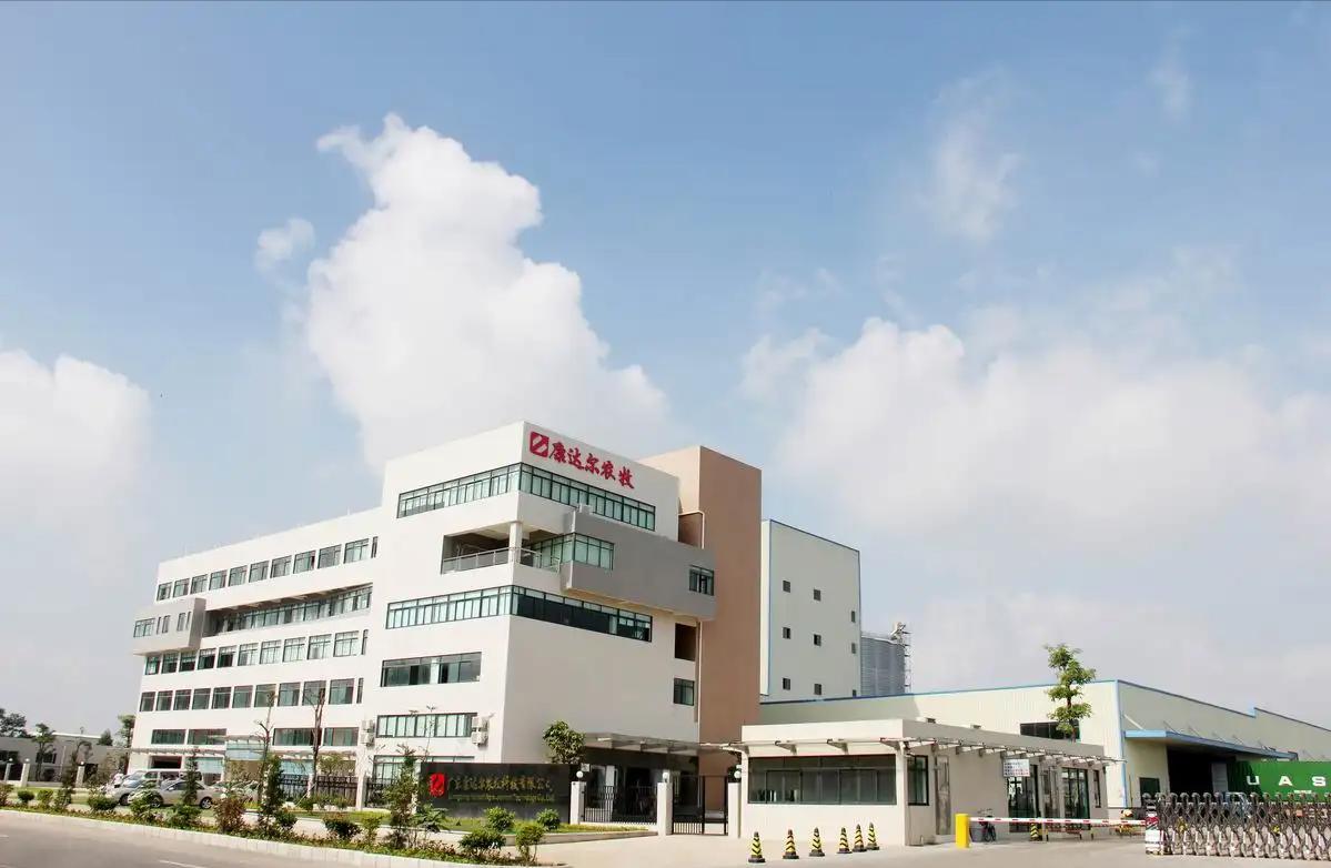 京基恶意并购康达尔在哪一年,京基集团借壳康达尔