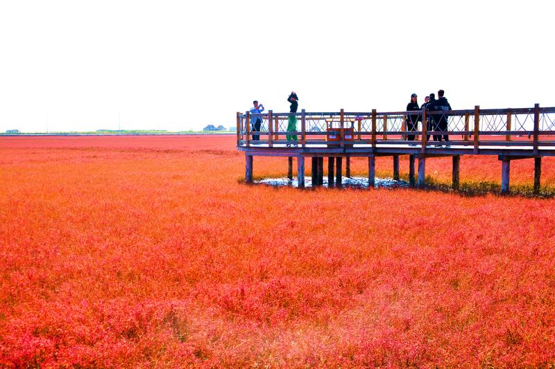 辽宁盘锦在哪个地方,去盘锦旅游哪里好
