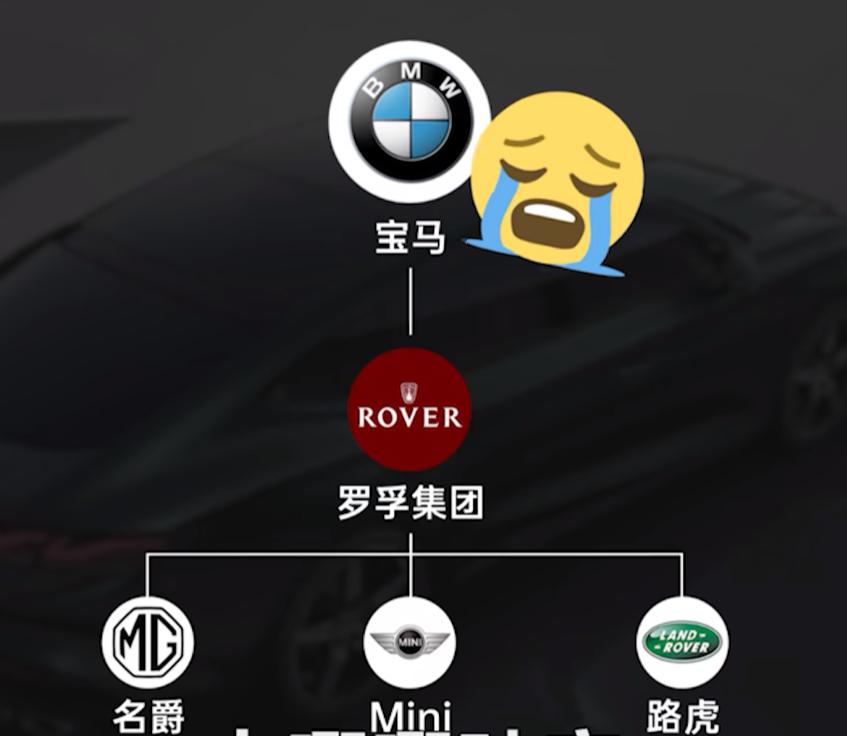 比亚迪只能排第二，国产车中在欧洲卖得最好的是谁？