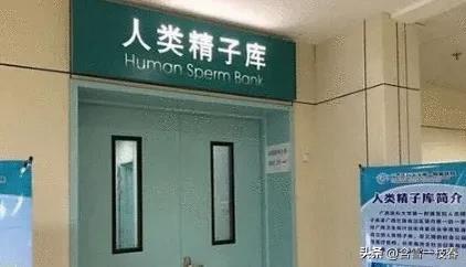 2014年，女子亲历“地下捐精”，中彩后泪纷飞：真相不堪前路泥泞