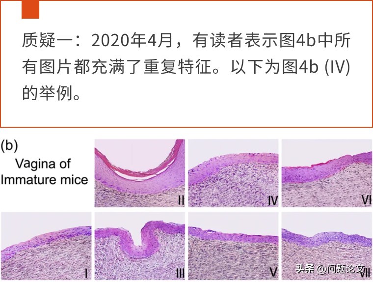 医生学术论文作假严重吗,国外承认中医论文造假事件