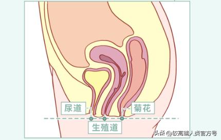 女生的身体，到底有多少不合理的东西？