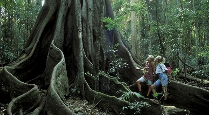 新英格兰地区有哪些,新英格兰地区版图