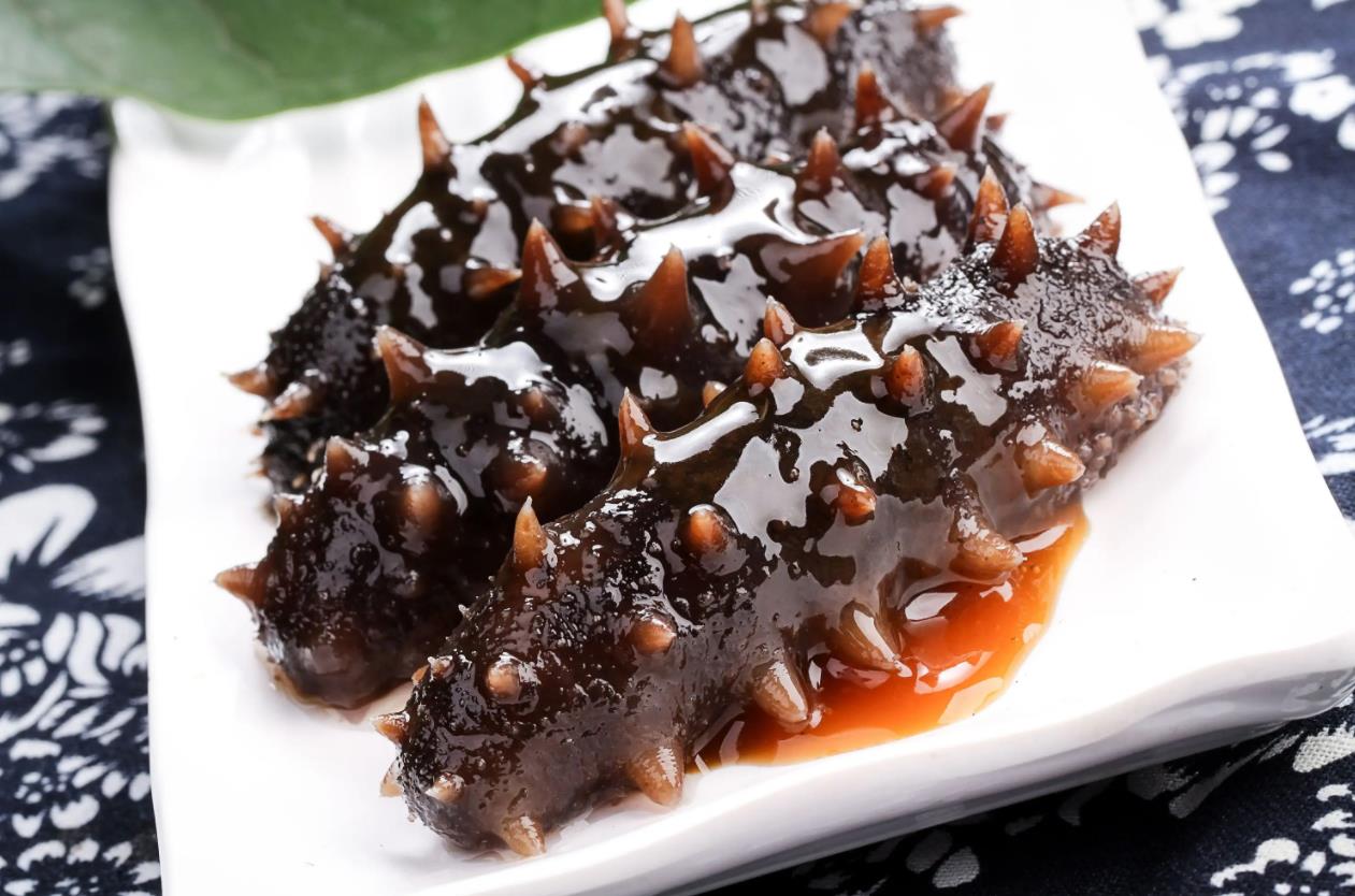 海参足球队是什么意思,海参足球队原话