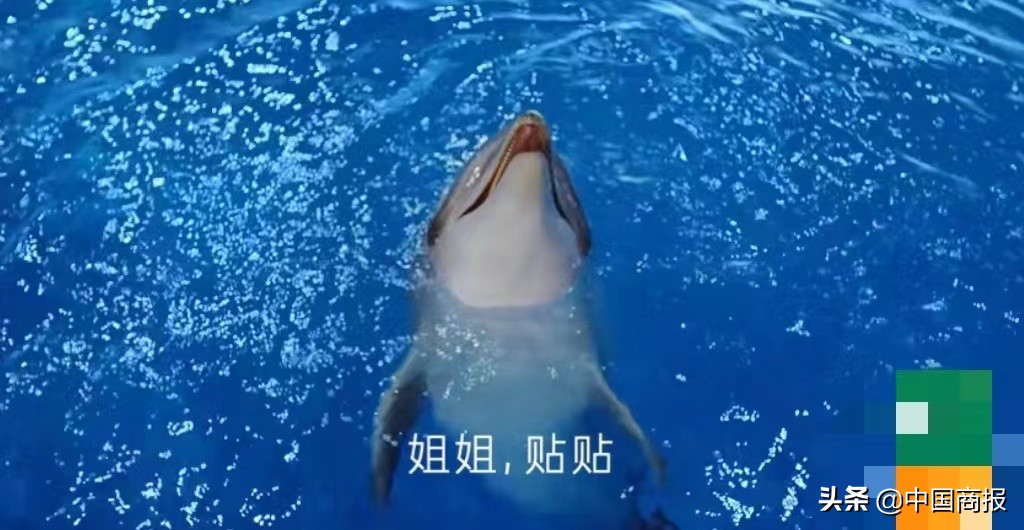 被广告误导消费者算欺诈吗,广告法误导消费者