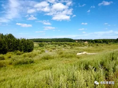 梁晓声知青小说,梁晓声知青全文