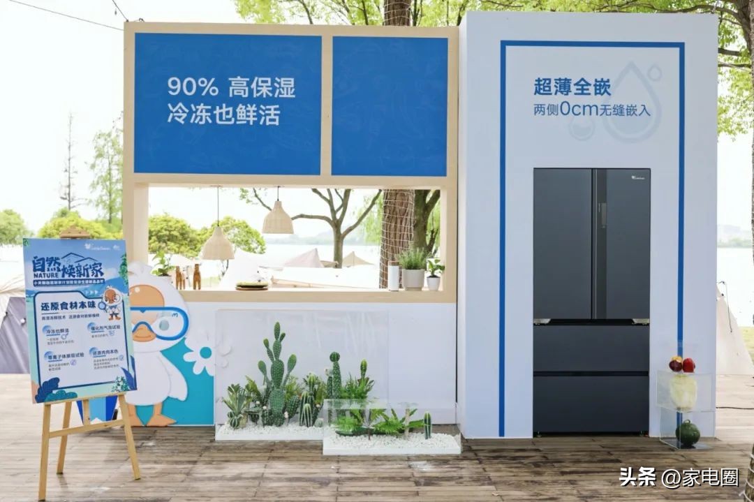 自然焕新家,高端品牌小天鹅