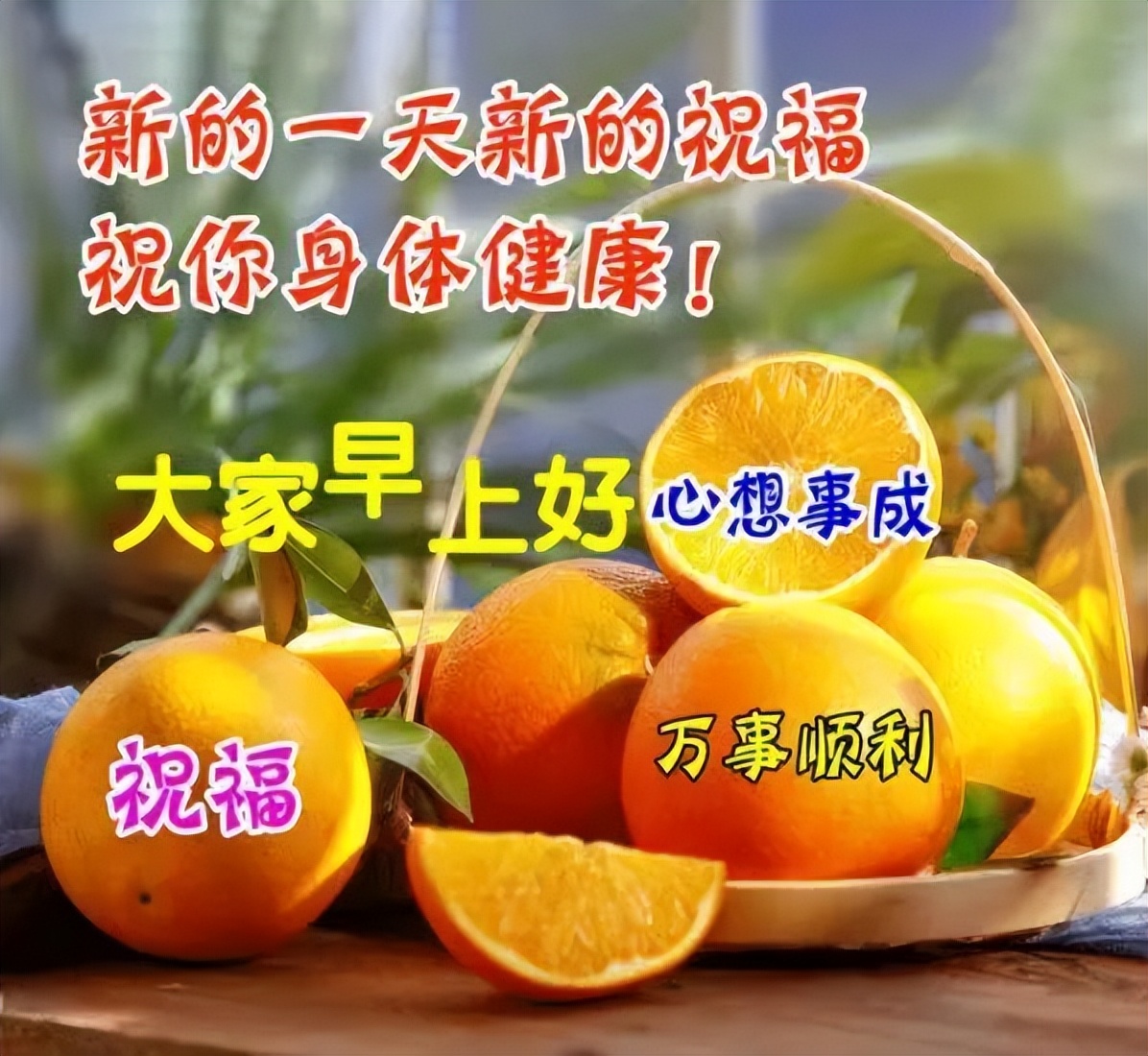 朋友关心问候语暖心感动的句子,问候祝福朋友开心快乐的温馨句子