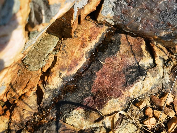 旅顺城山,旅顺城山怎么绕过去