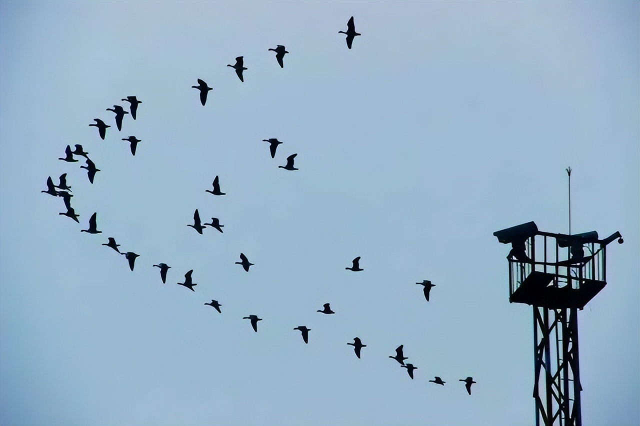 堪称千古绝对的3副对联,堪称千古一帝的对联