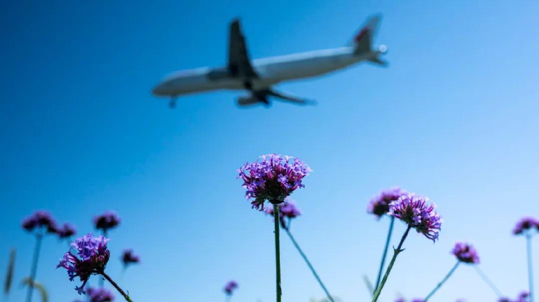 成都五一出游的宝藏路线,成都周边的宝藏打卡地