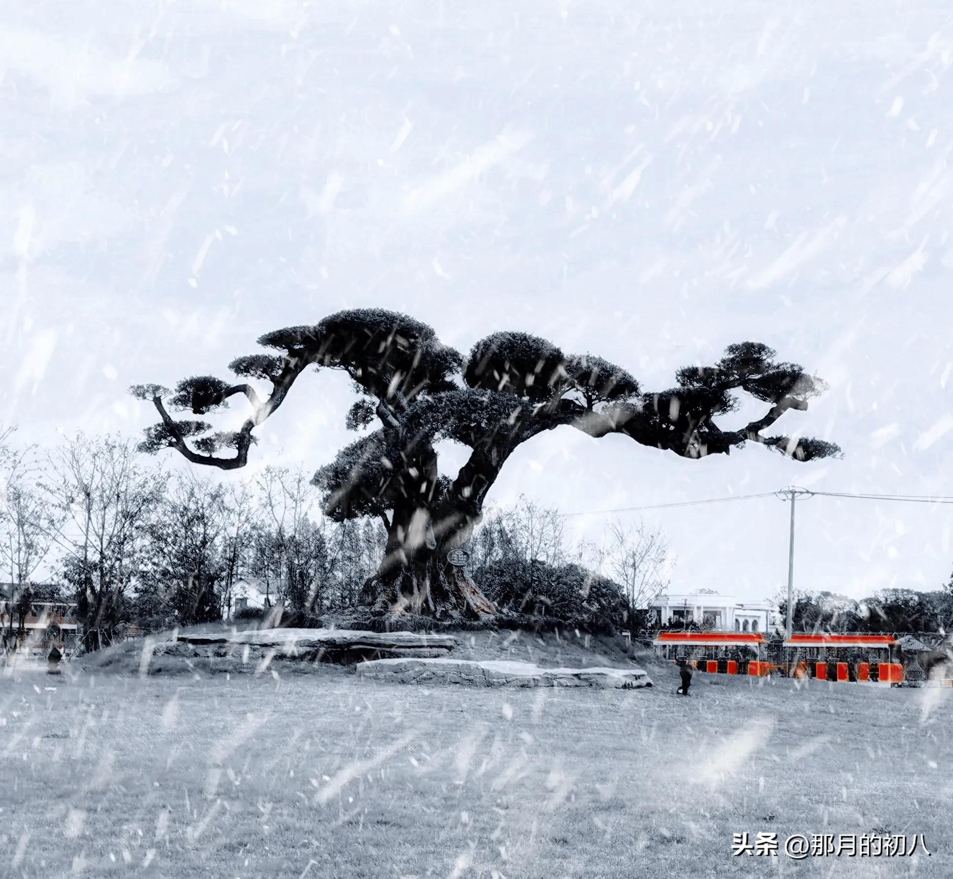 中国男足成绩受疫情影响,中国男足疫情