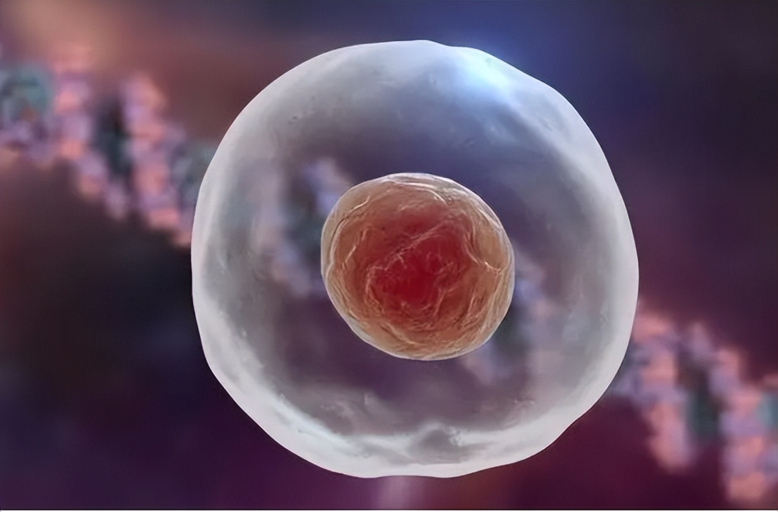 女大学生贪慕虚荣被骗,女大学生贪慕虚荣以为真爱