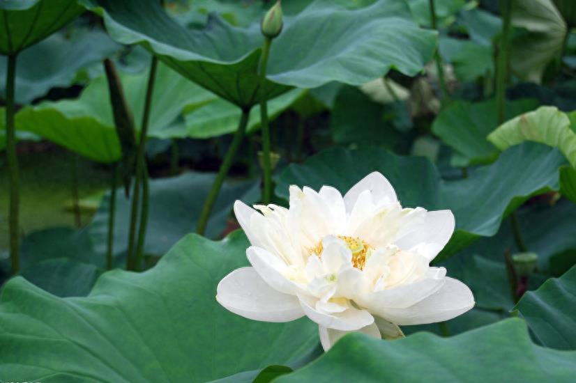 公元前和公元交替是哪个朝代,公元前与公元后的分界是哪个朝代