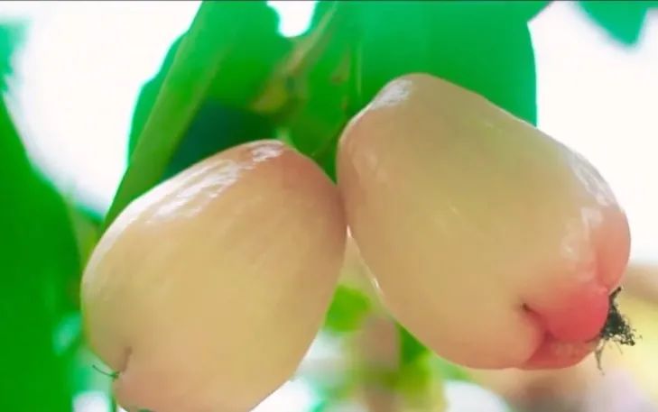 父亲节这天可以去哪玩,父亲节带父母游玩是最佳选择