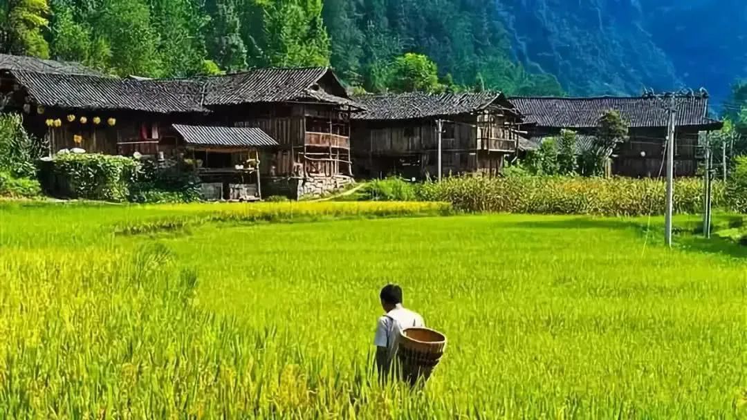 皖南和皖北农村差距,皖南农村和皖北农村为啥截然不同