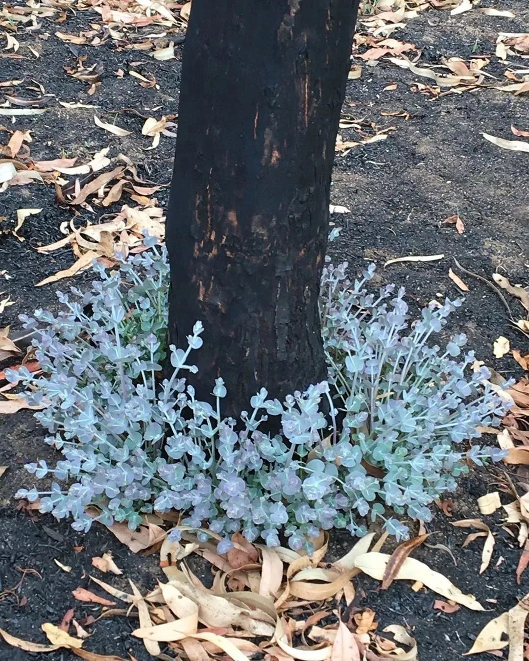 北仑疫情还回得了家吗,北仑疫情出不去了么