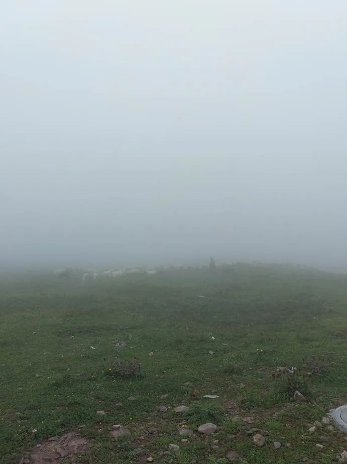 灏忓ぉ灞遍夯鐢板箔鏅尯鍦ㄥ摢,楹荤敯宀皬澶╁北鐢ㄩ绾﹀悧