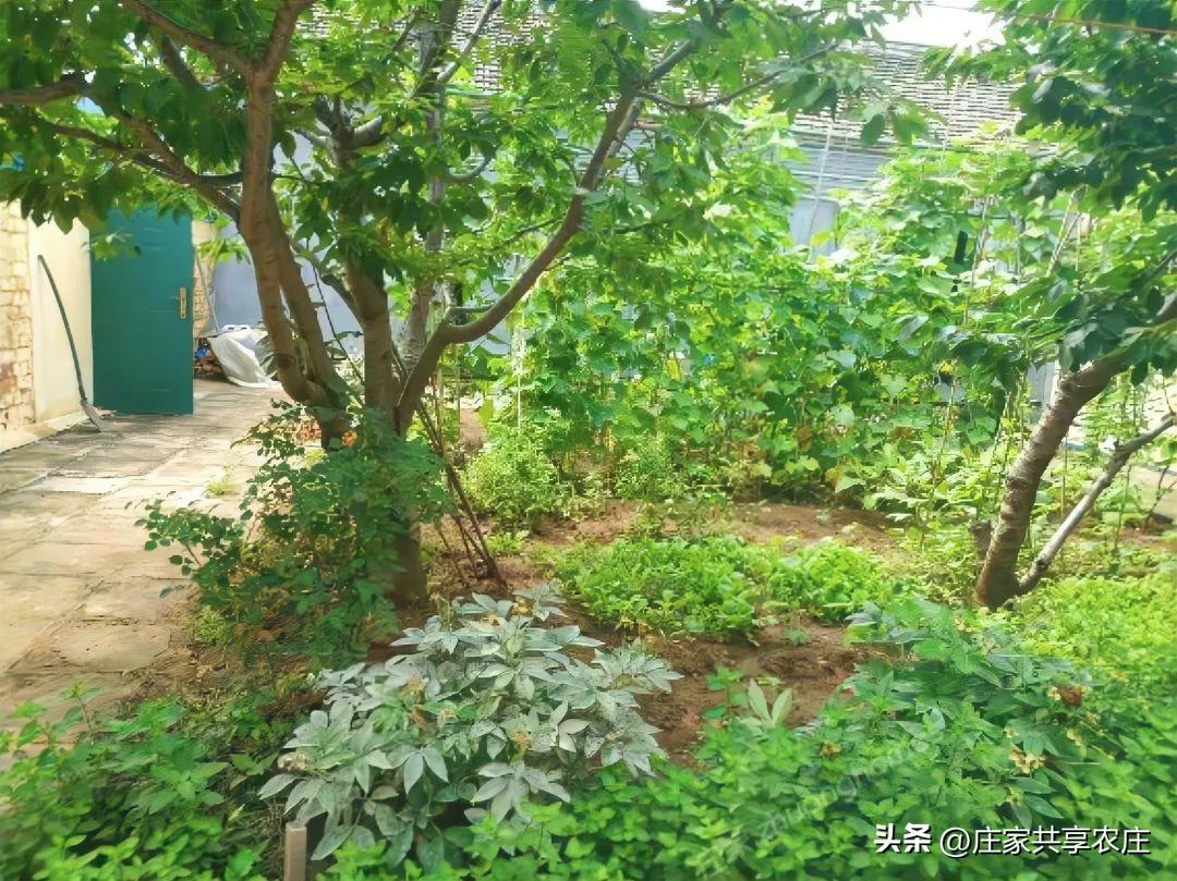 怀柔原始小院闲置出租,怀柔小院出租价目表