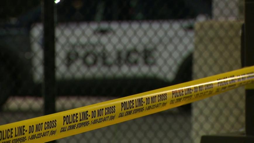 加拿大多伦多两高中弹丸枪伤人！最严枪支法漏掉了这种枪