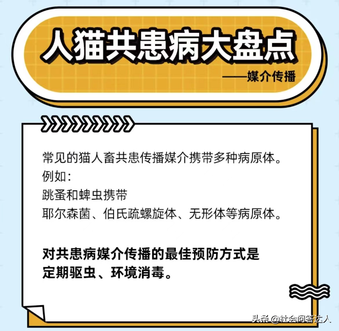 宠物消毒剂的正确使用方法,养宠家庭消毒