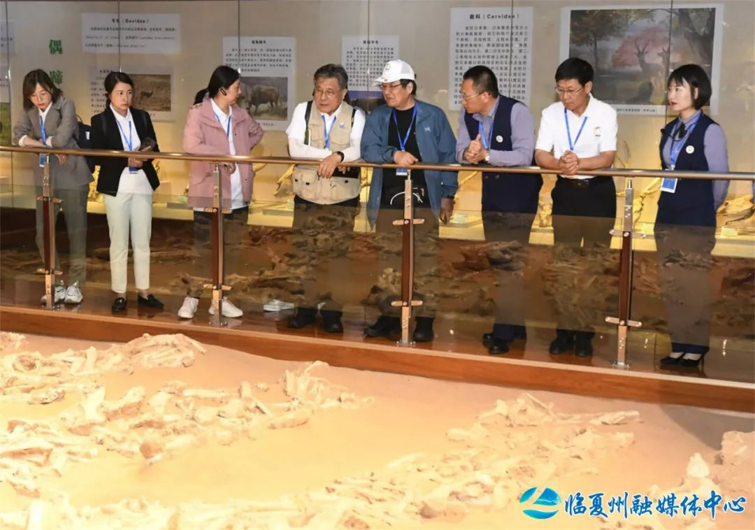 联合国教科文组织专家来临夏州开展实地考察评估