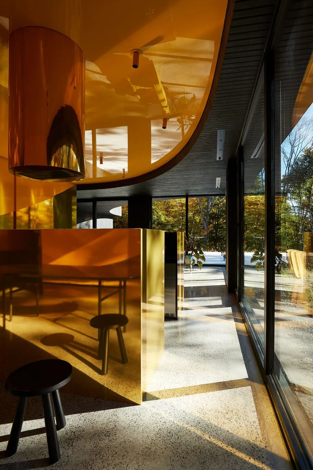 他们把家搬到了森林里，一间森林