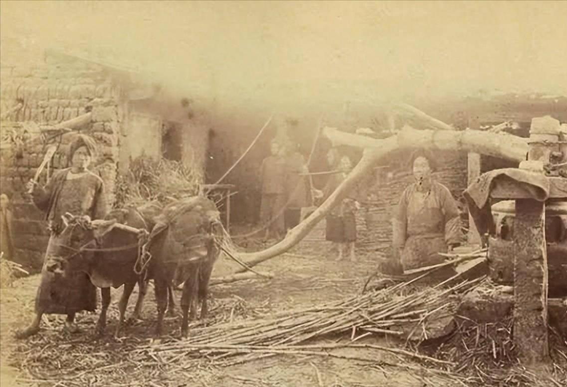 侵华日军*行暴**照片，女子为活命，脱下衣服让日本人拍摄，*辱侮**致死