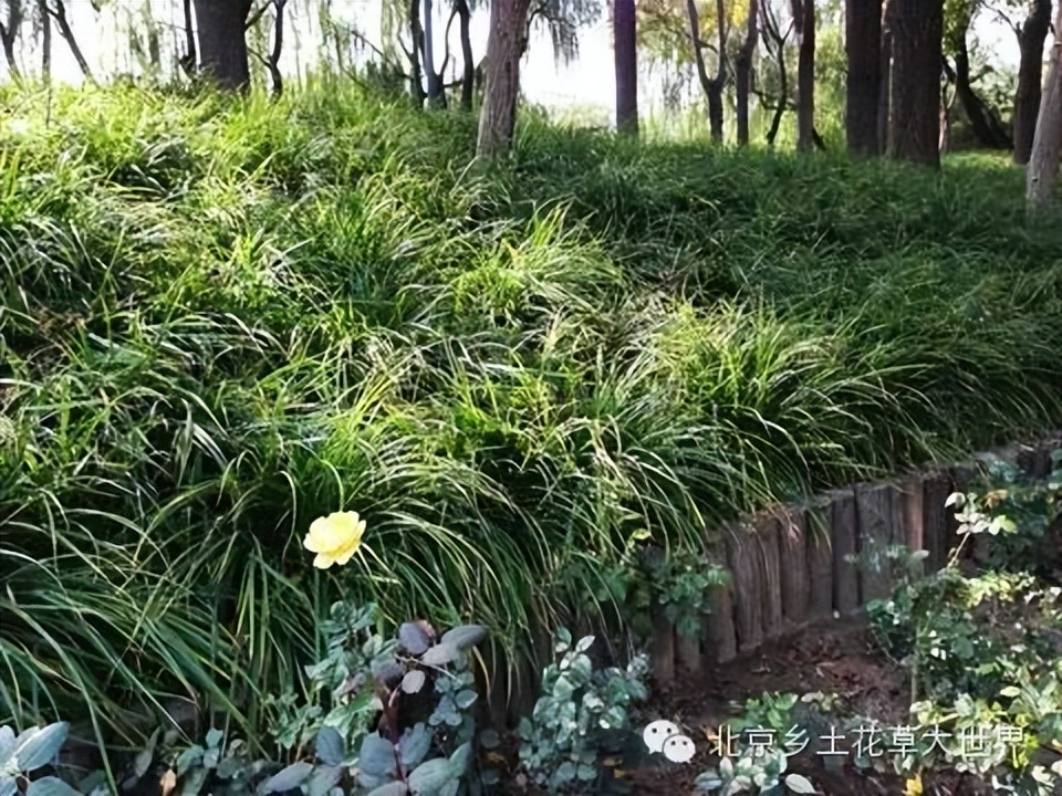 缁挎櫘鏂瑰渾鑺卞崏绉戞妧鏈夐檺鍏徃,缁挎櫘鏂瑰渾