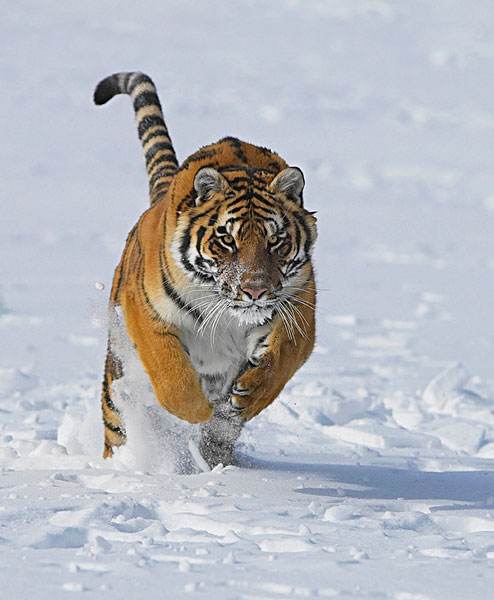 华中华北华南华东怎么区分,华中和华南对比