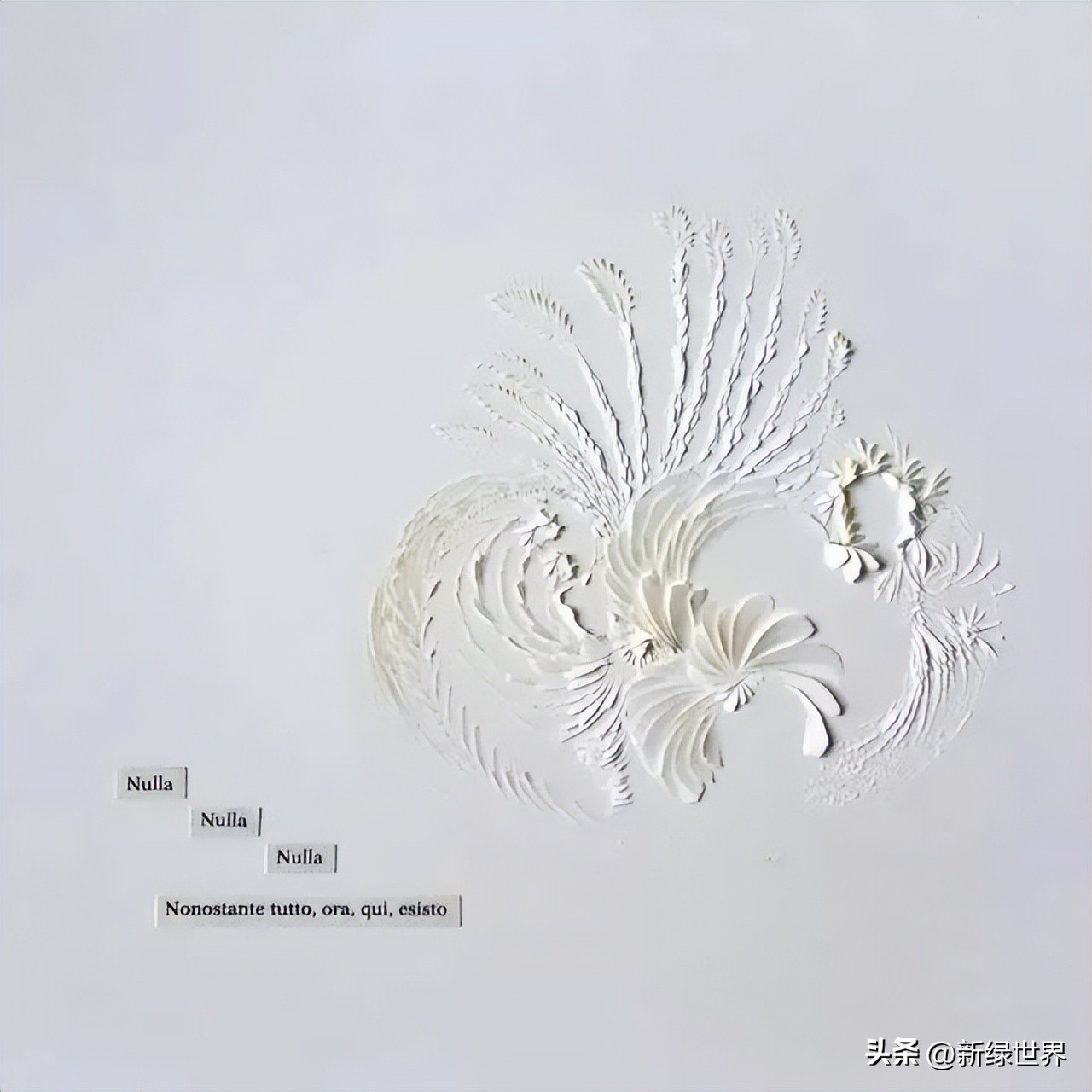 一组纸艺作品,令人惊艳的纸艺作品