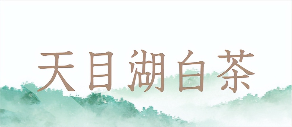 溧阳市天目湖绿溪茶场白茶,天目湖环湖茶场白茶