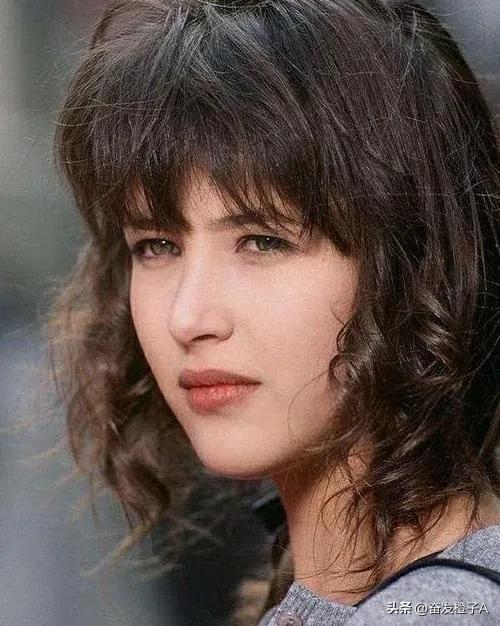 法兰西玫瑰苏菲玛索图片,法兰西玫瑰苏菲玛索写真