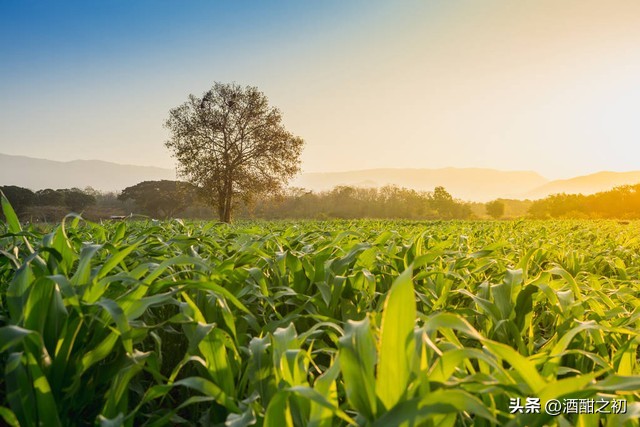 乡村故事：奸情（二十三）