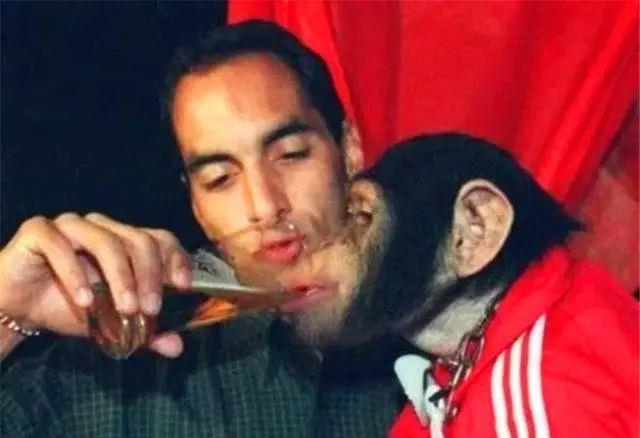 黑白两重天:球场狂欢,牢狱徘徊