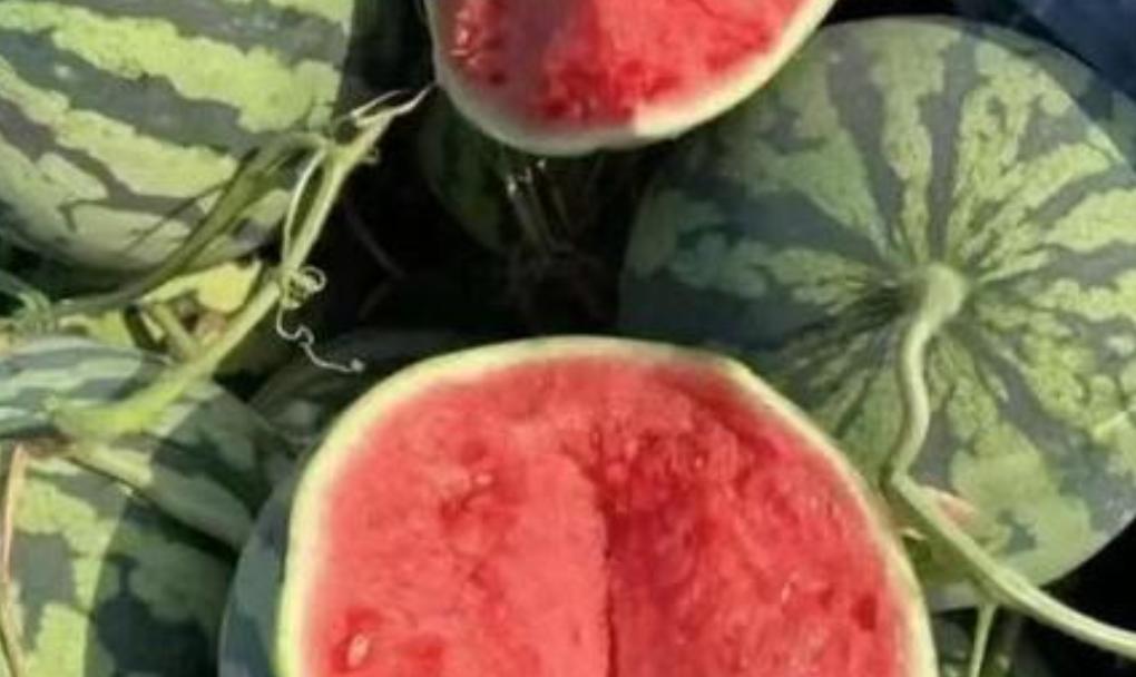 端午吃了粽子后可以吃点什么水果,端午节粽子吃多了吃点啥