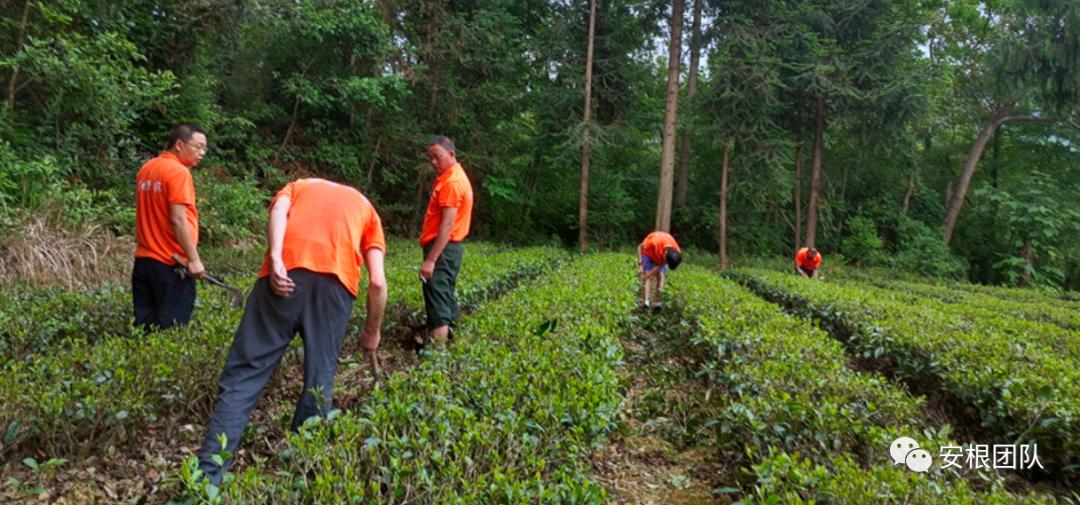 种植专业合作社有什么好处和坏处,农业合作社的危害