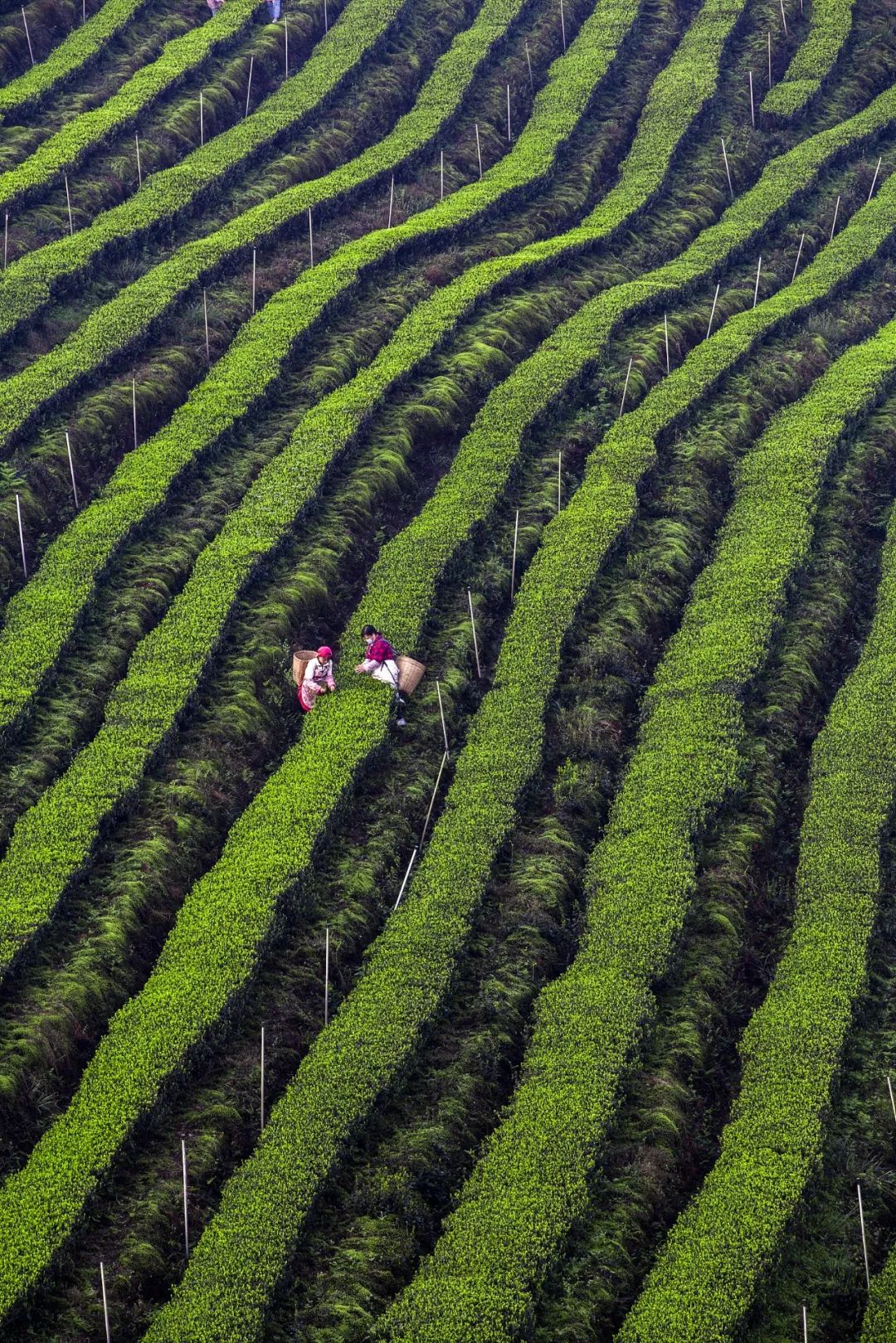 中国最好喝啤酒城市,全国最难喝的城市