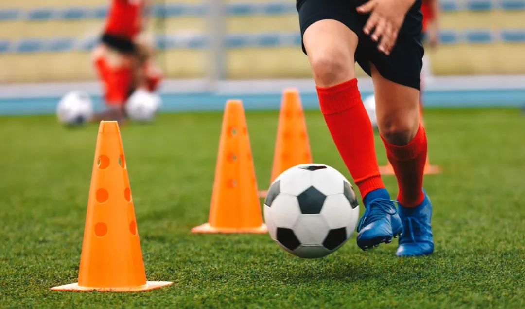 体育赛事直播培训,线上体育培训班报名