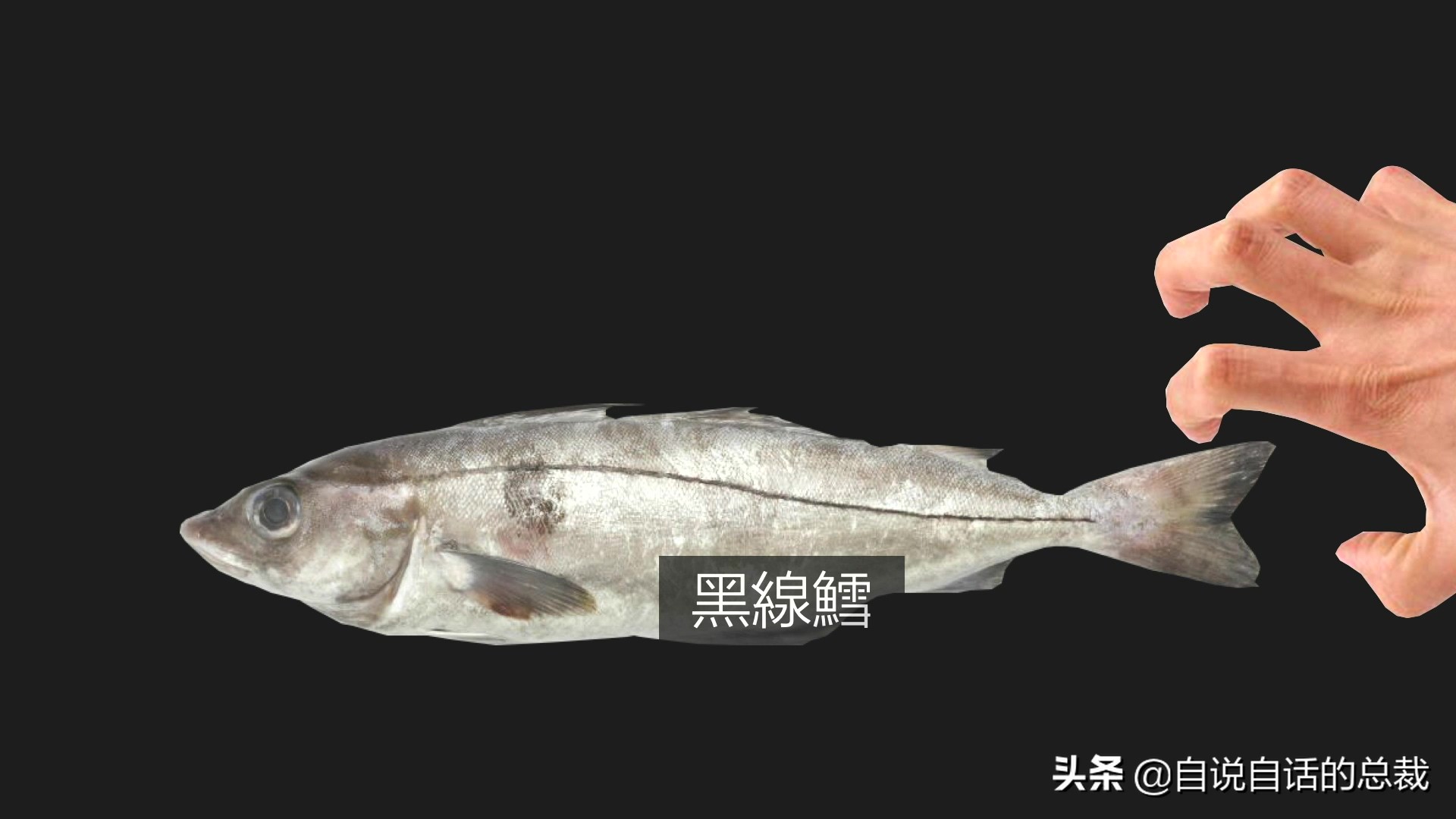 为什么买的鳕鱼段都是粘液,为什么买的鳕鱼那么多水