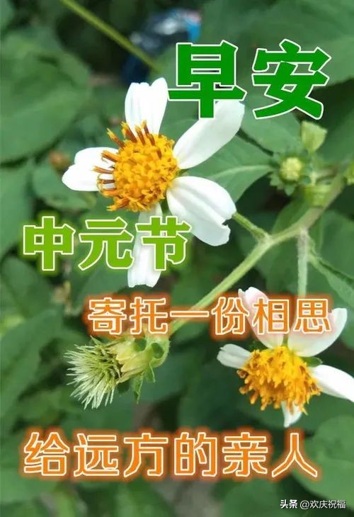 中元节扫墓全过程,中元节扫墓祭祖正确方法