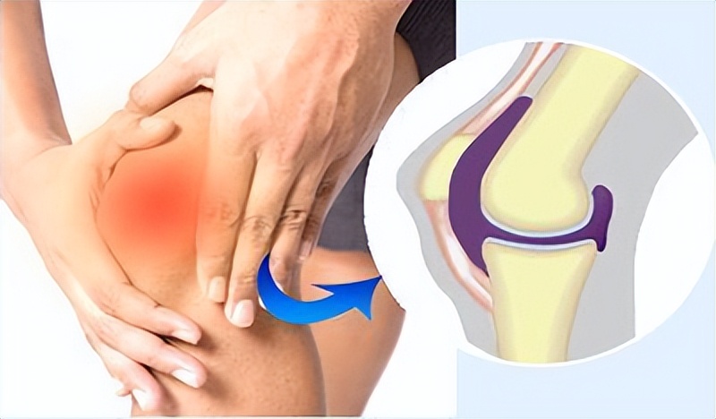 人体最鸡肋的器官,人体最不靠谱的器官