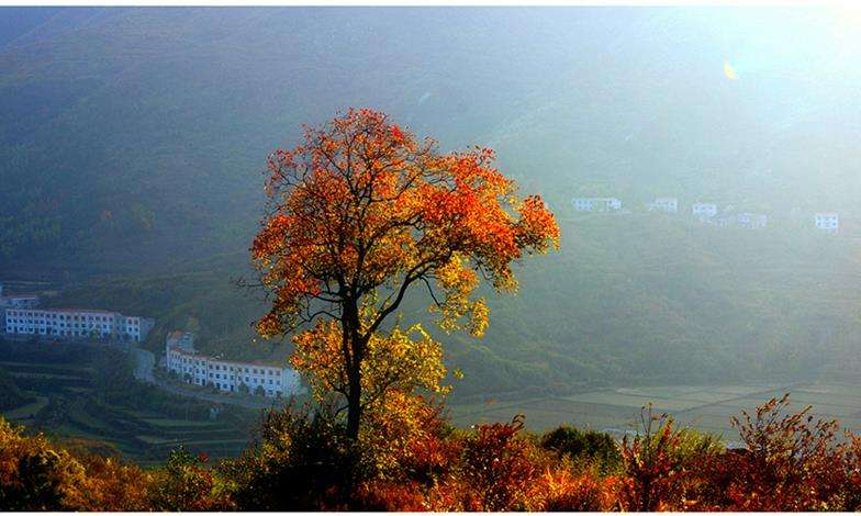 沁园春长沙教学设计特色说明,沁园春长沙教学设计详案