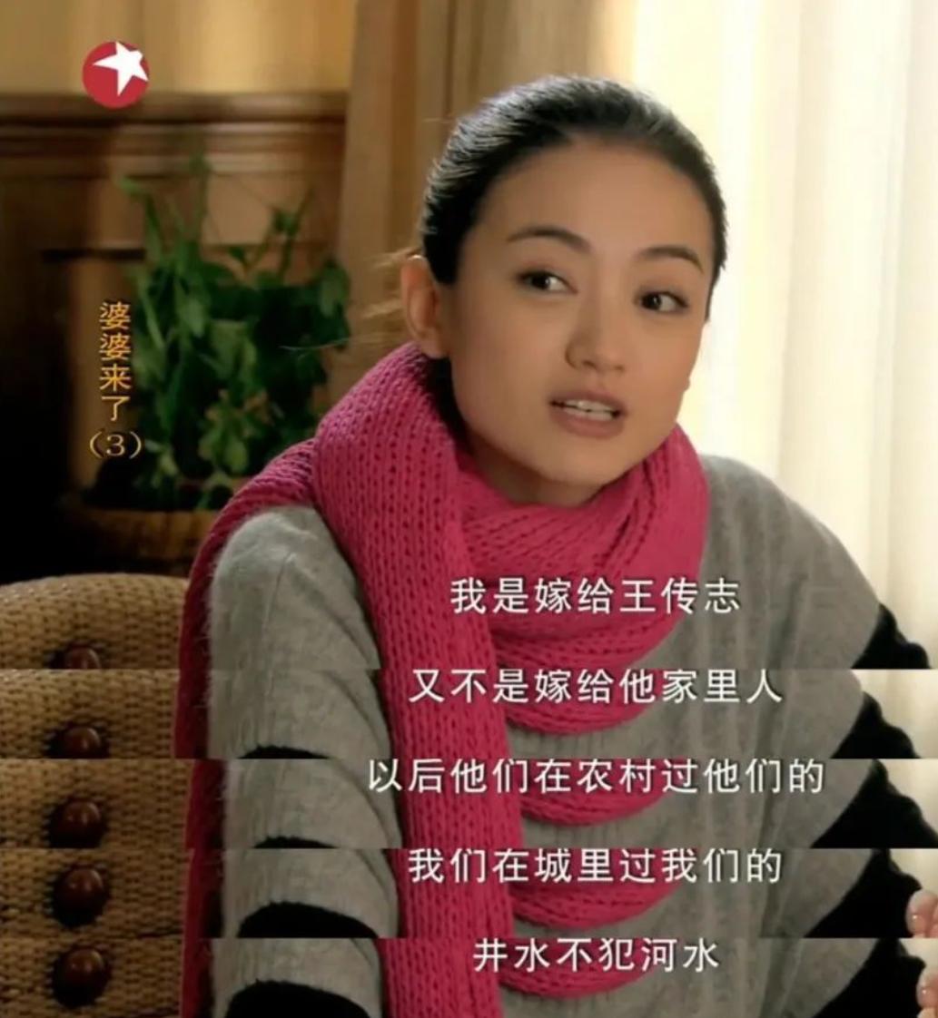 婆婆来了婆媳之间的主要矛盾,婆婆来了回娘家后续