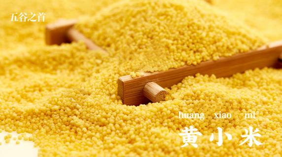 小米黄酒怎么煮,小米糯米黄酒