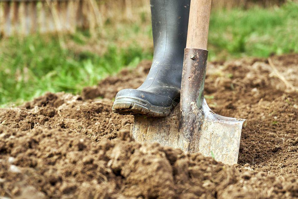 2022年立秋哪几个属相躲秋,立秋哪些属相要躲秋