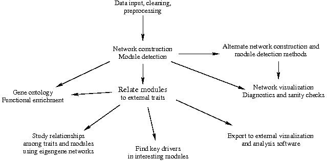 什么是wgcna分析,wgcna是分析什么的