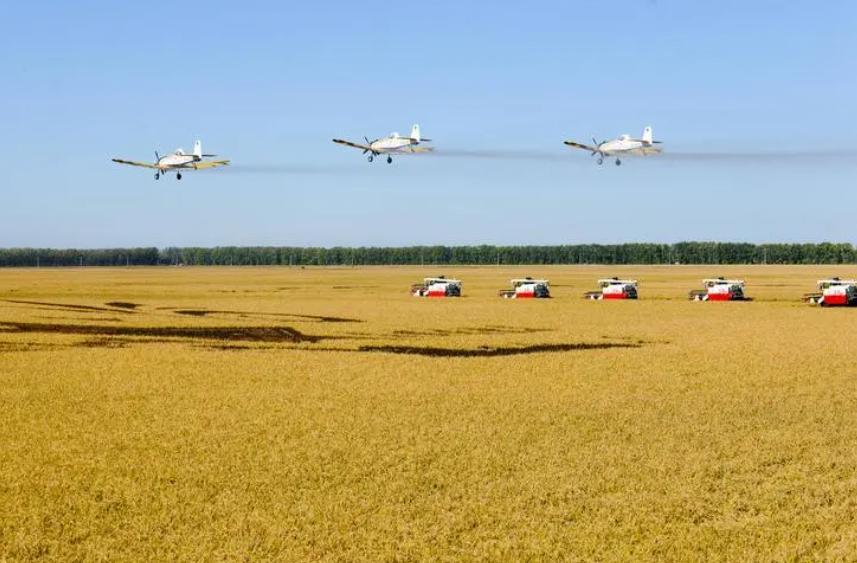 北大荒为什么退林还耕,北大荒垦荒什么时候开始的